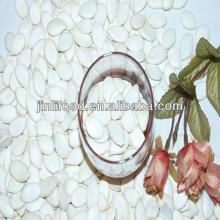13cm snow white pumpkin seeds on sale