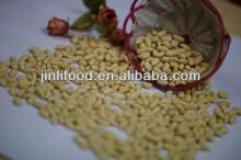 Kingland blanch  peanut  25/29 from Shandong China