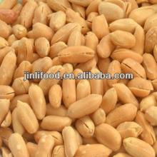 fried peanut kernel for snack