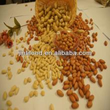 jumbo fried and salted peanut  kernel 
