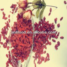 New crop Ningxia Dried Goji berry
