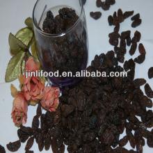 2013 new crop red raisin sultana Xinjiang origin