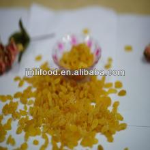 hot sell golden sultana raisin chinese origin dried grape