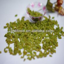 Xinjiangsun dry dark 100% green raisins grape fruit good top quality new crop green raisins sult for