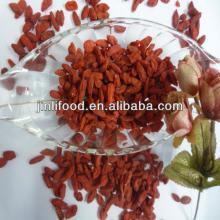 2013 new crop China fresh goji berries-KINGLAND
