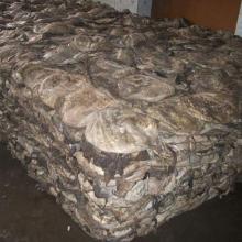 dried and salted omasum .best quality