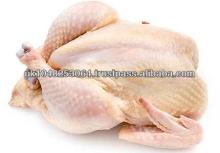 HALAL Frozen Whole Chicken Brazil Origin