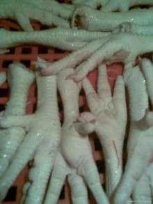 frozen Grade A chicken feet/paw for sale at affordable prices ! !!