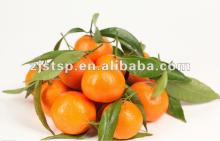 mandarin cells