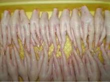 Best quality frozen chicken paws (COMPETITIVE PRICE)