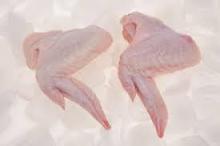 Best quality frozen chicken wings for sale (COMPETITIVE PRICE)