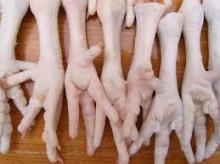 Best quality  halal   frozen   chicken  feet (COMPETITIVE PRICE)