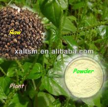 Black Pepper Extract piperine 90% 95% 98%