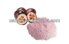 Cranberry juice powder