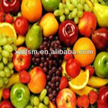 concentrate Fruit Juice Powder