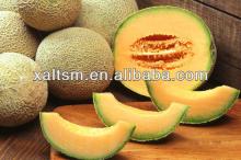 Cantaloupe Juice Powder