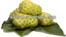 Natrual Noni Extract/P.E