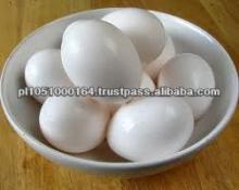 FRESH EGGS, OSTRICH EGGS