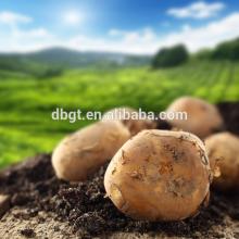 modified potato starch deep water drilling starch modified potato starch