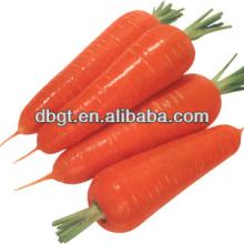 2014 fresh carrots