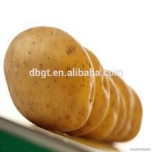Export to other countries Cheap and fine fresh potato