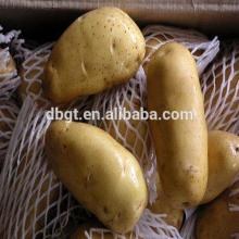 New Fresh organic potatoes