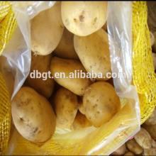 Fresh potato in china sell like hot cakes