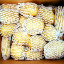 Fresh potato in india sell like hot cakes