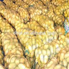 Fresh potato in Bangladesh sell like hot cakes