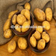 Cheap and fine , fresh potato,potatoes high quality