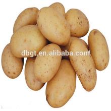 Fresh potatoes fresh peeled potatoes fresh russet potato