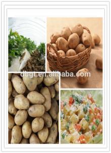 2014 Cheap and fine fresh potatoes