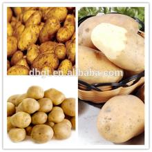 2014 Natural Farm fresh Potato