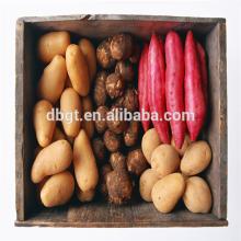 fresh sweet potato-a health food