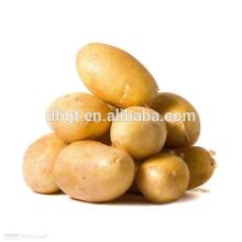 Delicious and nutritious potatoes