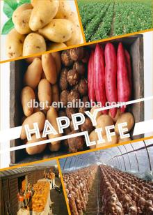 Holland potato, Fresh potato, 2014 crop