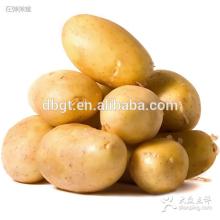 Please take note. new fresh potato listed.