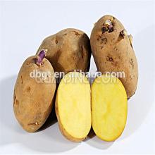 2014 Shaanxi new crop Fresh Potato in Various Pack