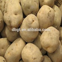 China Cheap Potato (Yellow Color)