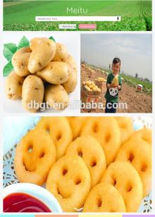  wholesale  potatoes for foreign importers