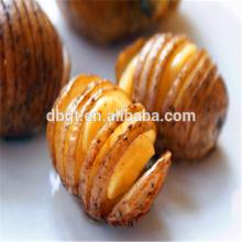 fresh vegetable rich in vitamin-fresh potato