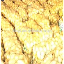 Delicious and nutritious potatoes,fresh potata