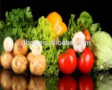 potato cold storage/fresh vegetable/popular fresh potato