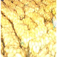 THE BEST-SELLING ROUND FRESH POTATO