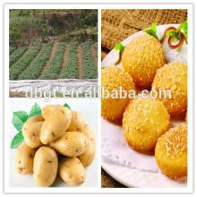 farm products free from pollution-shananxi native fresh potato