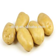 new potato type and organic potato product