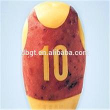  fresh  agricultural product/ fresh   potato  rich in nutrition