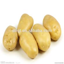 2014 Best-selling markets fresh potatoes from China