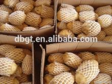 Specifications complete competitive price of potatoes