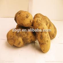 2014 New fresh potatoes from China. Best-selling markets